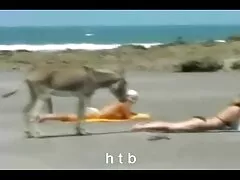 I passeggeri fanno di fronte film erotici francesi gratis al tassista di fronte al caldo maledetto