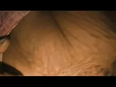 Un vicino che allegro è andato video erotici cartoni animati ai proprietari di piccoli seni